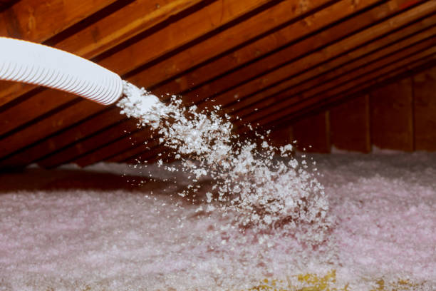Best Fiberglass Insulation in Hazel Park, MI