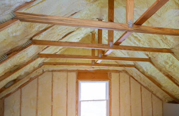 Best DIY Insulation Kits and Guidance in Hazel Park, MI