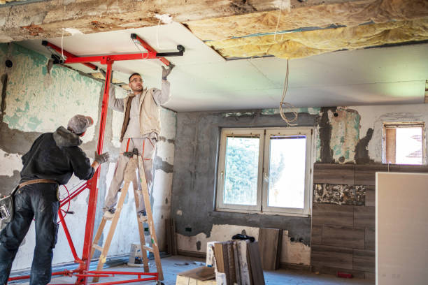 Best Energy Efficiency Insulation in Hazel Park, MI