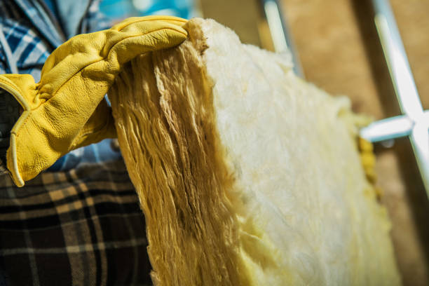 Best Insulation Maintenance and Repair in Hazel Park, MI