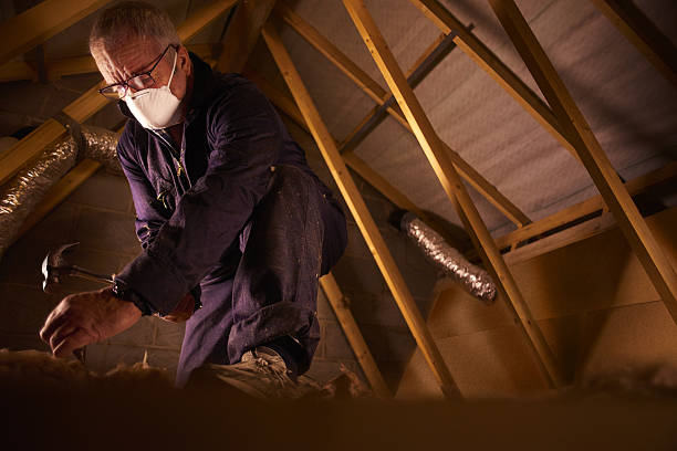 Reliable Hazel Park, MI Insulation Contractor Solutions