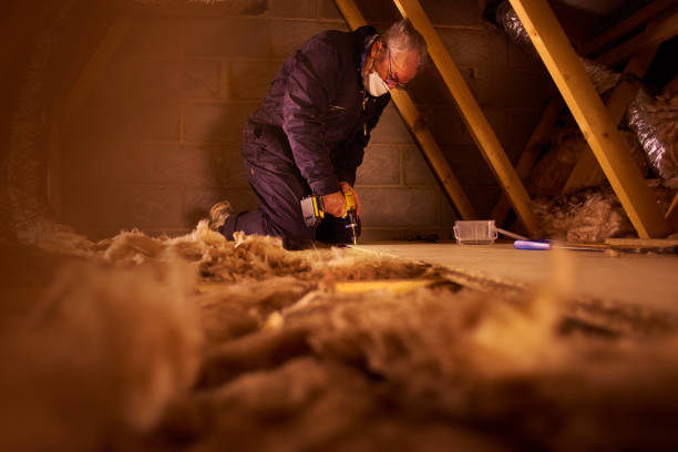 Best Spray Foam Insulation in Hazel Park, MI
